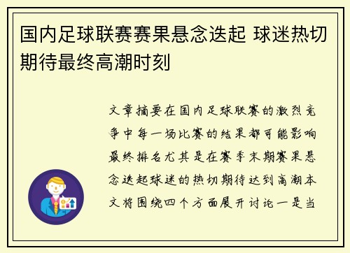 国内足球联赛赛果悬念迭起 球迷热切期待最终高潮时刻