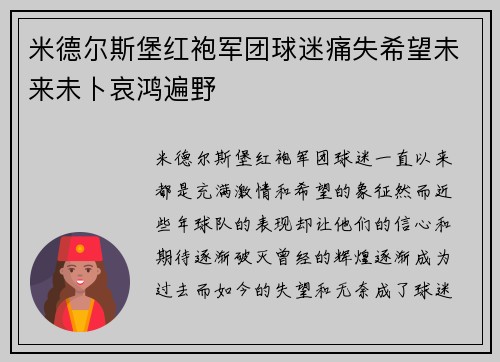 米德尔斯堡红袍军团球迷痛失希望未来未卜哀鸿遍野